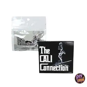 22 - The Cali Connection...
