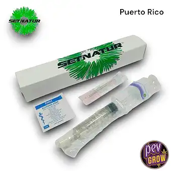 Psilocybe Puerto Rico...