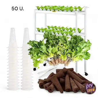 Kit complet de germination...