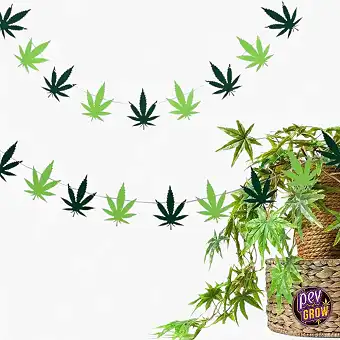 Cannabis Blätter Girlande...