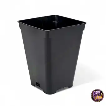 Vasi Allungati Speciali SOG