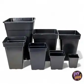 Vaso Quadrato Nero - Tutte...