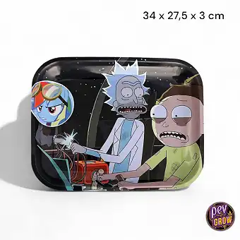 Rick und Morty Drehtablett...