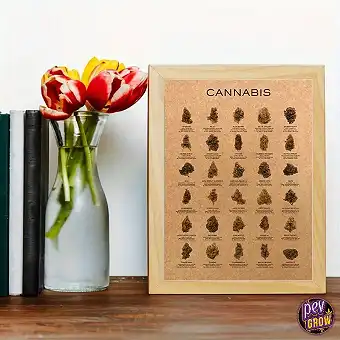 Pòster Decoratiu de...