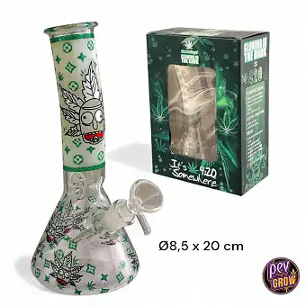 Bong en Verre Rick & Morty...