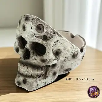 Cenicero Resina Skull 10 cm