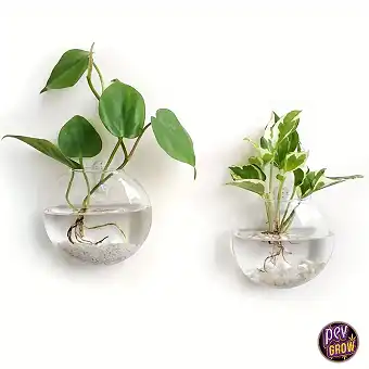 Wall Hanging Glass...