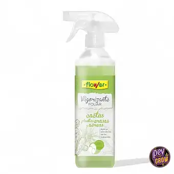 Тонік для кактусів і...