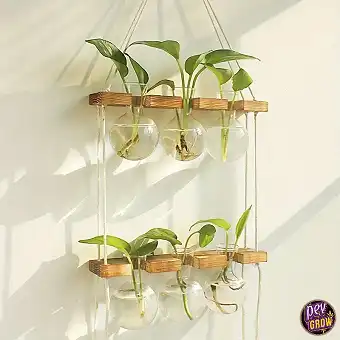 Wall-Mounted Plant...