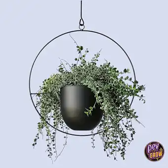 Black Metal Hanging Planter...