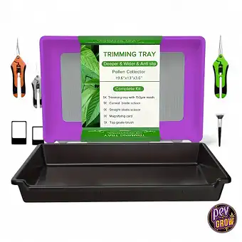 Kit Bandeja Dry Sift Morada...