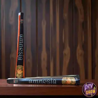 Amnesia Pre-Rolled CBD Joints