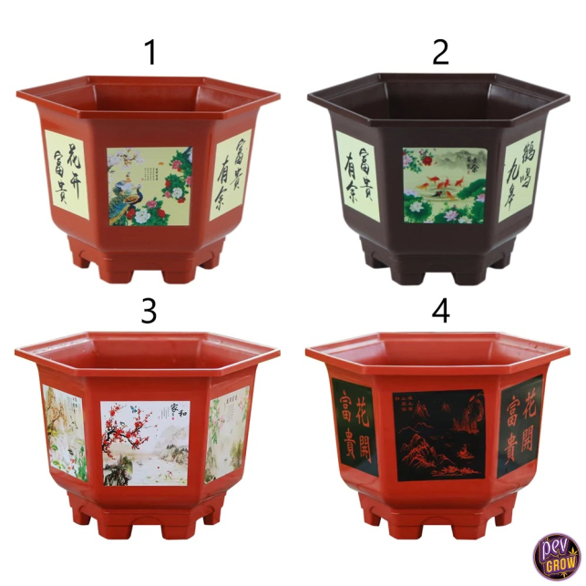 Sechseckiger Kunststoff-Bonsai-Topf 25x18 cm | Bei Pevgrow kaufen