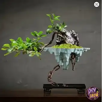 Eisen Bonsai Topf 24 x 20 cm