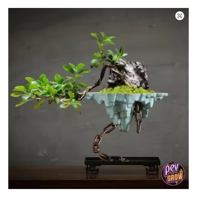 Ghiveci Bonsai 24x20cm din Fier | Rezistent i Rustic