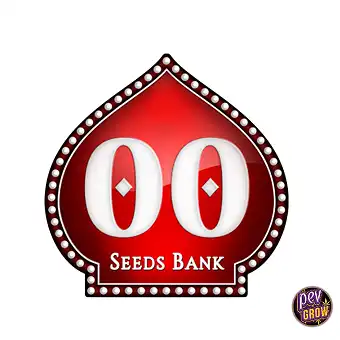 Auto Mandarin Cookies 00...