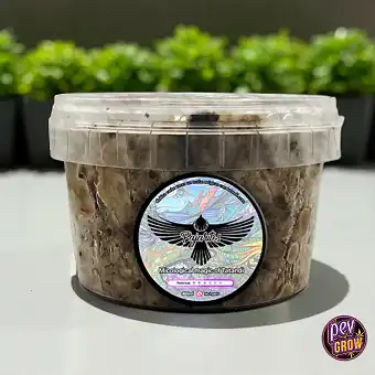 Tartufi Magici Pajaritos...