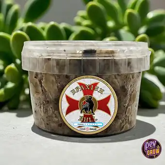 Spanish Bull Magic Truffle...