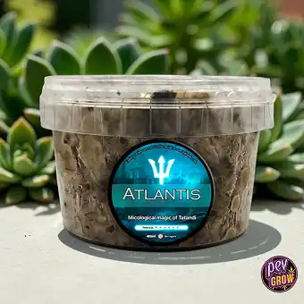 Atlantis Zaubertrüffel 1200 ML