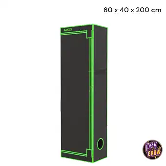 Dark Box Propagator Tower...
