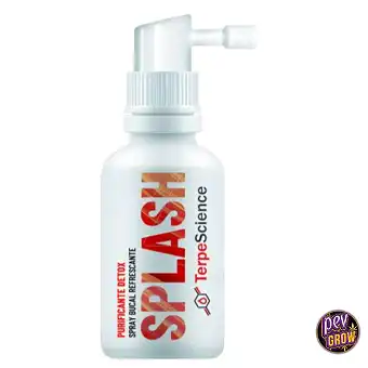 Mund-Spray 50ml Terpescience