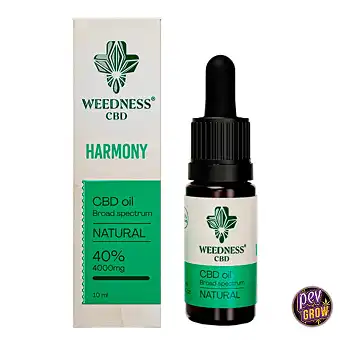 Olio CBD Naturale Weedness...