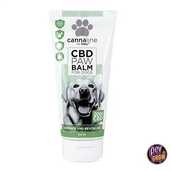 Balsamo CBD per Zampe Cane...