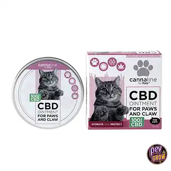 Cannaline CBD Ointment for...