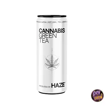 Tè Verde di Cannabis Haze...
