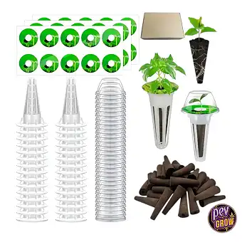 Kit de Germinación...