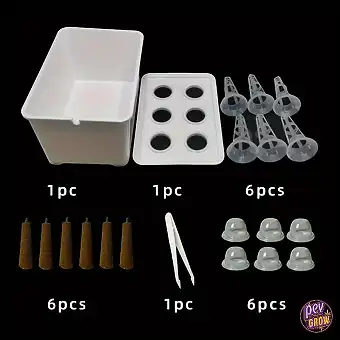Kit complet de germination...