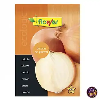 Sementes de Cebola Golden...