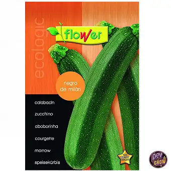 Sementes de Curgete Black...