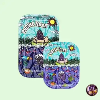 Best Buds Purple Haze Metal...