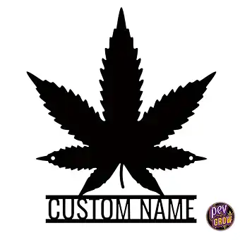 Foglia di Marijuana in...