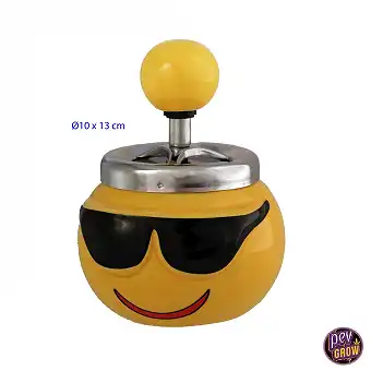 Automatischer Anti-Rauch...