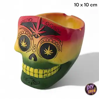 Tricolor Ceramic Skull...
