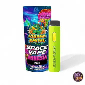 Vaper desbotable E8H Space...