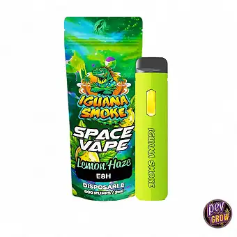 Wegwerp Pod E8H Space Vape...
