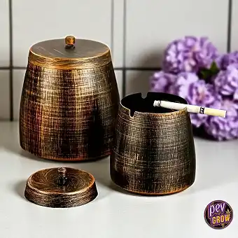 Retro Iron Ashtray with Lid...
