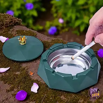 Smokeless Ashtray with...