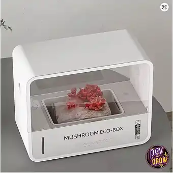 Propagador Inteligente para...