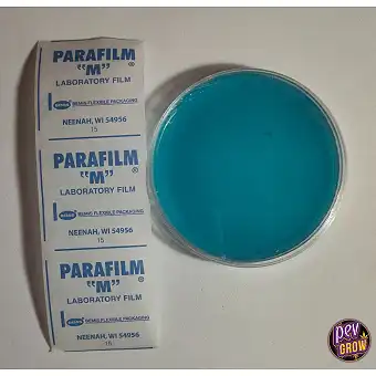 Sterile Nutrient Agar Plate...