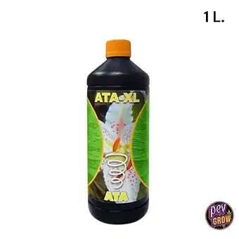 ATA XL Wachstums- und...