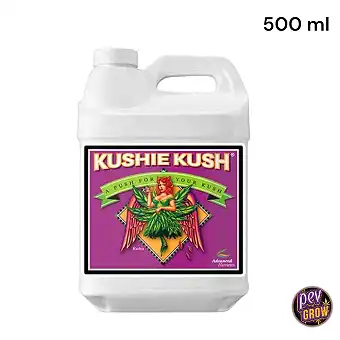 Kushie Kush PK Flowering...