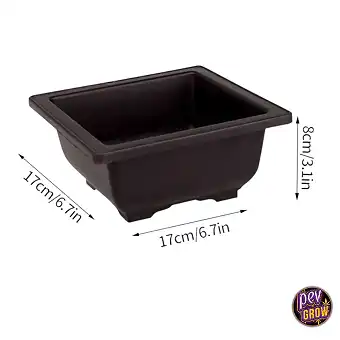 Pot Bonsaï Carré en...