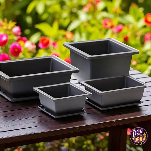 MBLUE Set 5 Vasi Quadrati In Plastica Per Bonsai E Piante Grasse | Con Vassoio E Fori Di Drenaggio | Vaso Porta Piante Da Balcone