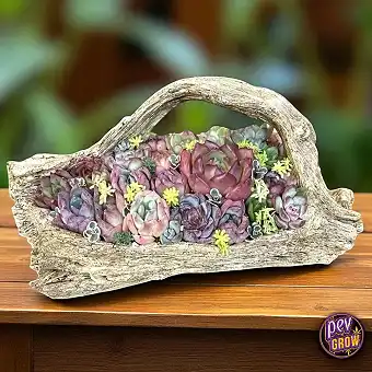 Vaso Bonsai com Imitação de...