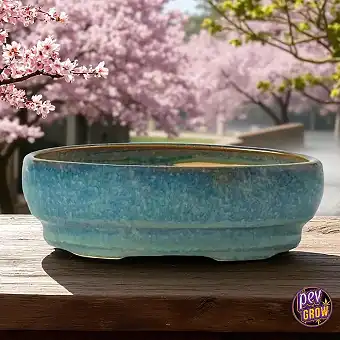 Vaso in Ceramica per Bonsai...