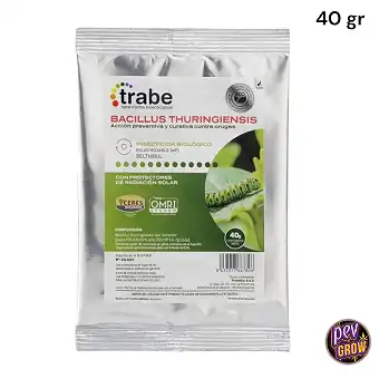 Trabe Bacillus...